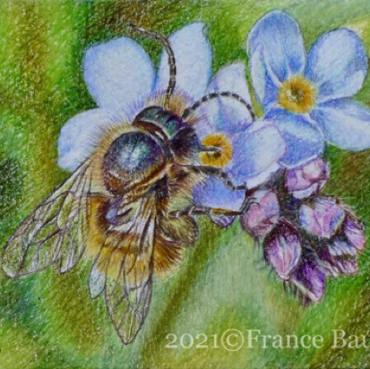Bee Safe - 9 hours
White Paper
2.5" x 3.5"
Ref: Paul Lloyd Bee Safe - 9 hours
White Paper
2.5" x 3.5"
Ref: Paul Lloyd